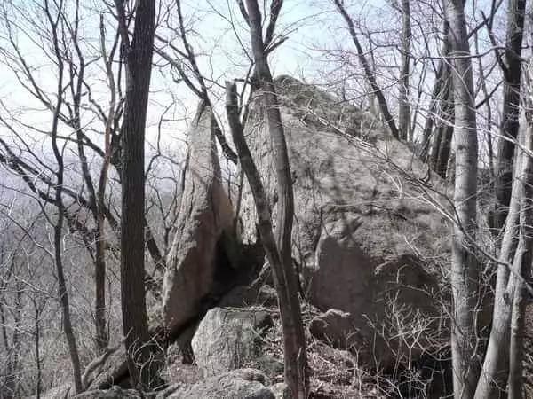 东北飞龙鸟种苗:吉林人不得不爬的15座名山，你爬过几座？
