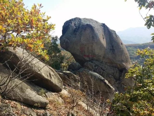 东北飞龙鸟种苗:吉林人不得不爬的15座名山，你爬过几座？