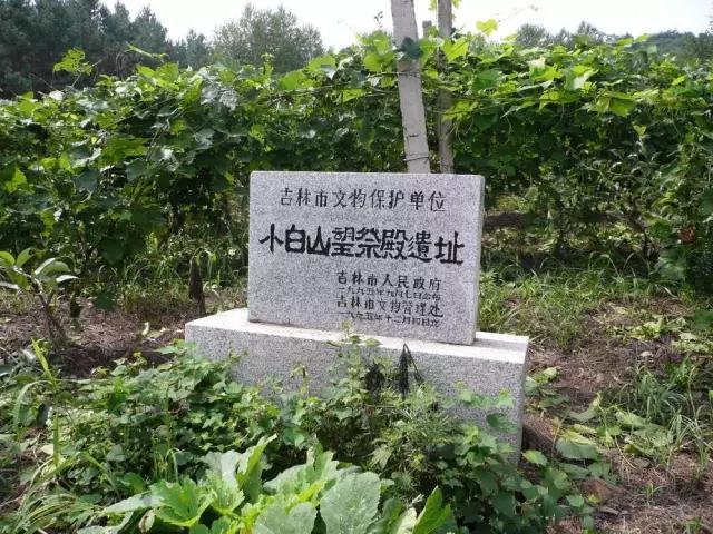 东北飞龙鸟种苗:吉林人不得不爬的15座名山，你爬过几座？