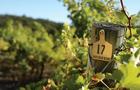 世界十大葡萄酒庄，澳大利亚有哪些值得一去的葡萄酒庄
