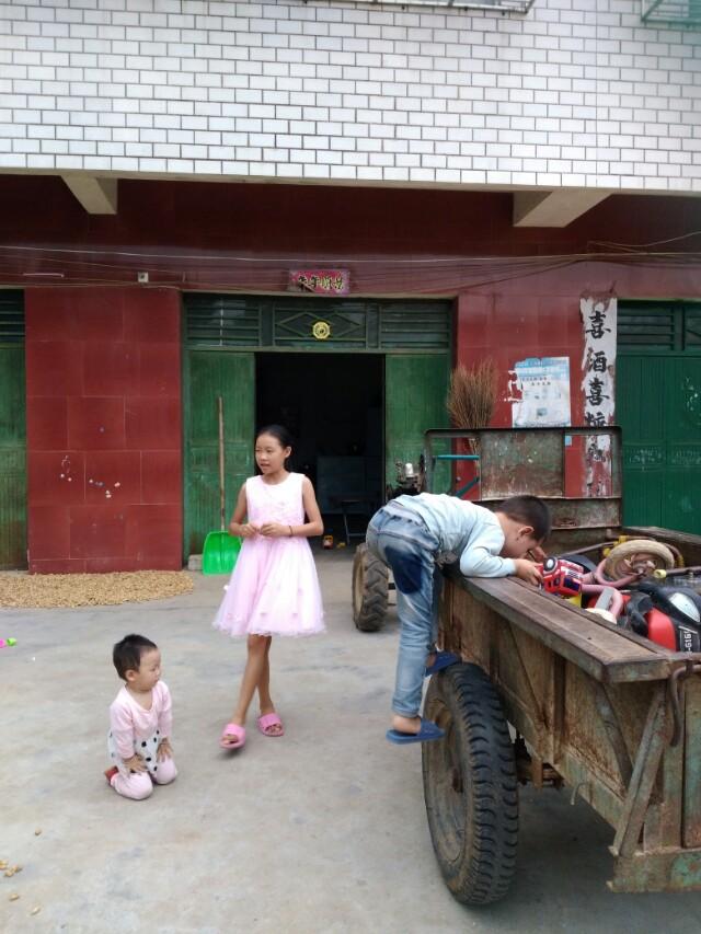 清宫图2013(清宫图2013年生男生女表)