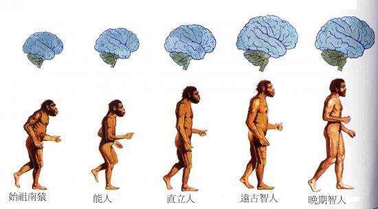 进化论被推翻:达尔文的进化论被推翻了吗，人类究竟不是由猿猴进化而来