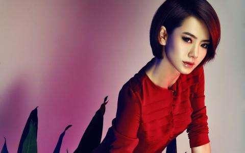 戚薇纹身图片:娱乐圈哪些女星的美腿你认为最好看
