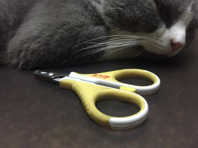 体内猫宠物医疗用品:猫咪排毛膏主治什么?猫咪去毛膏有必要吃吗？ 宠物医院治疗猫滴虫