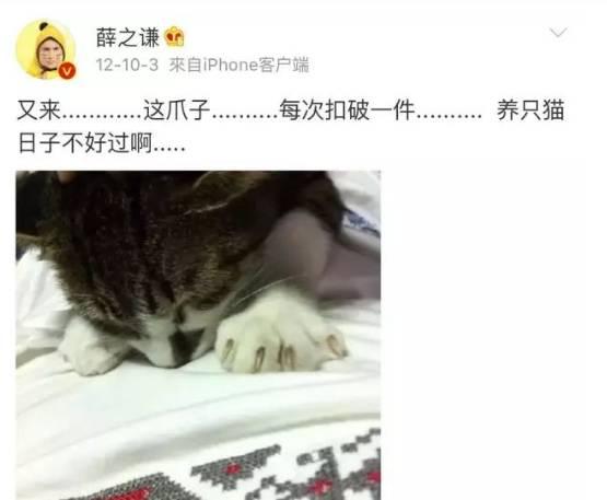 薛之谦娄艺潇:娄艺潇是不是李雨桐所说的“L女星”？她和薛之谦到底怎么回事？