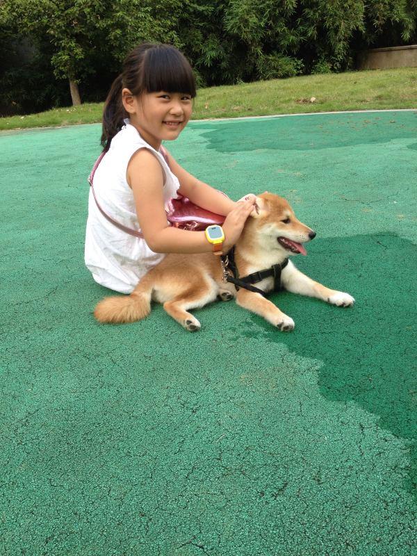 柴犬奇迹物语优酷:有哪部电影或电视曾让你泪流满面？ 柴犬奇迹物语