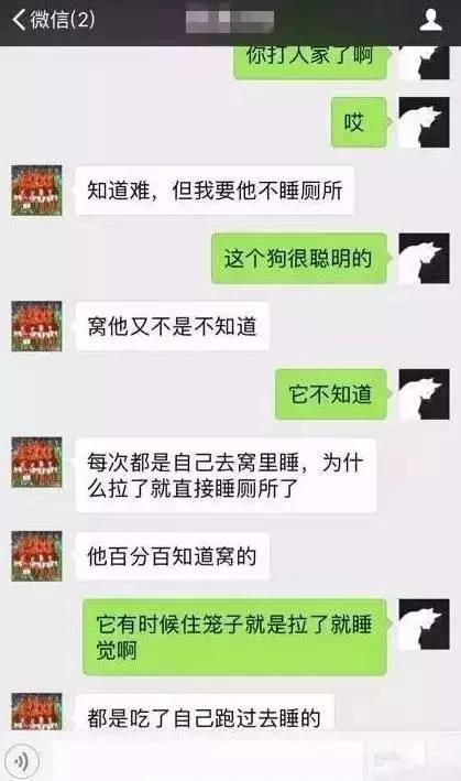 摔柯基 何兴丽:狗不听话就打死，你怎么看？