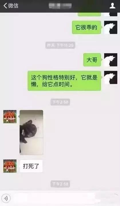摔柯基 何兴丽:狗不听话就打死，你怎么看？