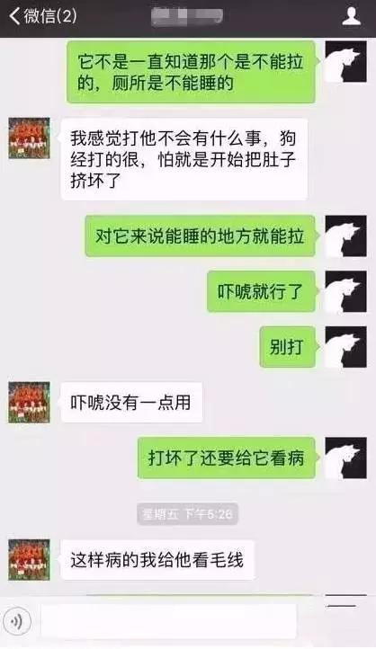 有杀泰迪吧吗:狗不听话就打死，你怎么看？ 打了泰迪后记仇吗