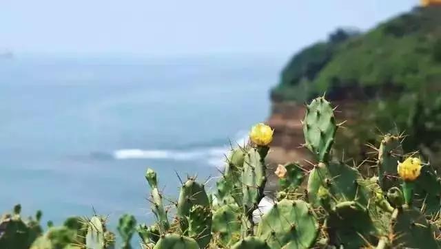 经典好听的微信名字简单不过时-可爱点(微信网名简单又好听)