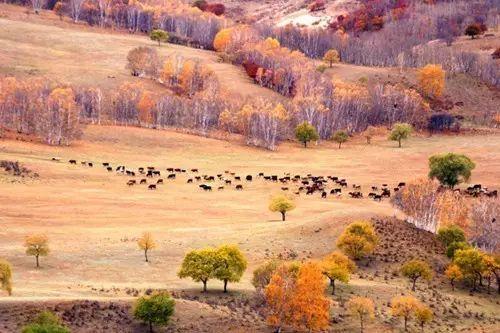 十月份适合去哪里旅游?10月份最适合去哪里旅游？