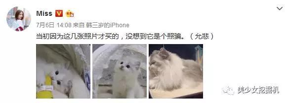 苏小妍事件:电竞圈的小姐姐到底有多厉害？