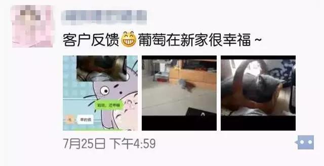 开宠物店赚钱吗:开一家宠物店大概要多少钱 越来越多人养宠物，宠物店是不是很赚钱？