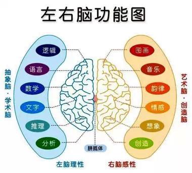 头条问答 习惯用右手 如何学习左手写字 有好处吗 10个回答