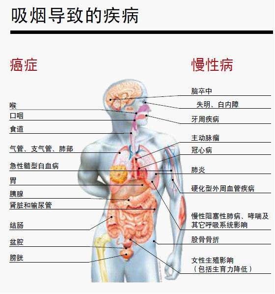 正确吸烟方法图解图片