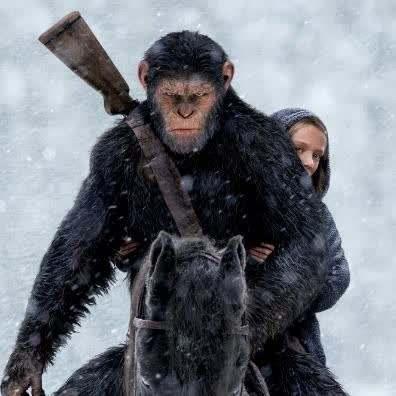 印尼红毛猩猩被强迫:进化论再被质疑，处于高纬度的人为何没进化出厚厚的毛发来御寒？