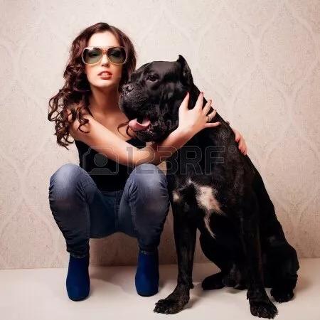 中小型短毛家庭护卫犬有哪几类:适合家养中小型短毛护卫犬 家里有儿童，适合养哪几种狗？