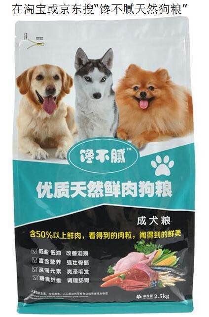宠物健康护理员模拟题:有哪些错误的养狗方式，是很多宠主都容易犯的？
