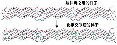 七鳃鳗恶心:盲鳗这么丑的生物有什么用？