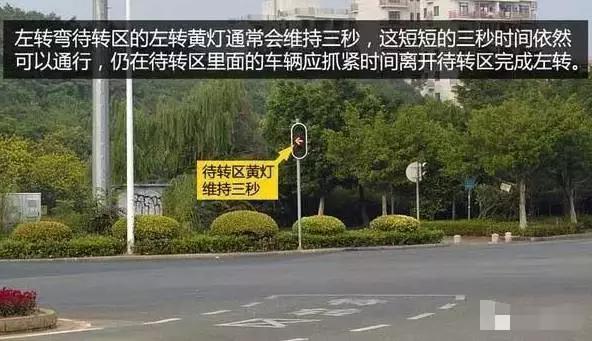 狗狗绿灯过马路视频:车辆进入待转区左转时，绿灯变成了红灯，车辆是走还是停？ 狗狗乱过马路视频