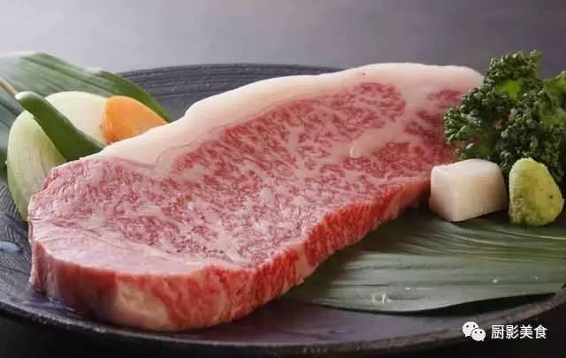 十大世界上最贵的狗排名图片欣赏:世界上最昂贵的肉有哪些？