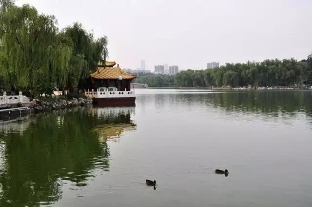 临沂洗砚池街灵异事件:临沂市哪个县区好玩的景点多？