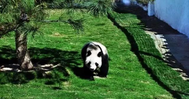 临沂洗砚池街灵异事件:临沂市哪个县区好玩的景点多？