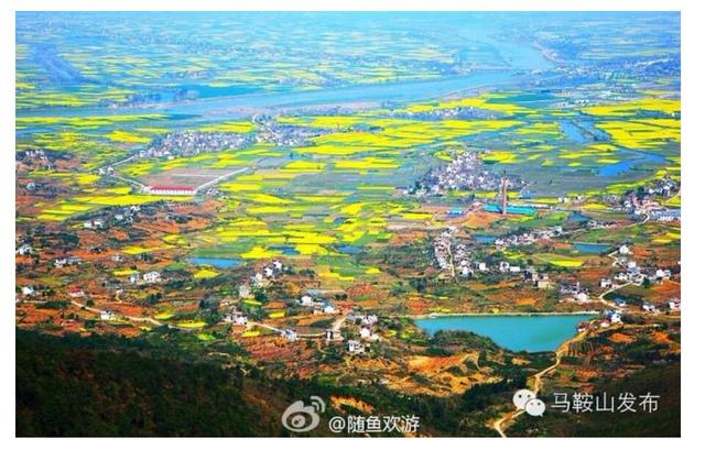 马鞍山雨山区:马鞍山行政区规划是怎样的？