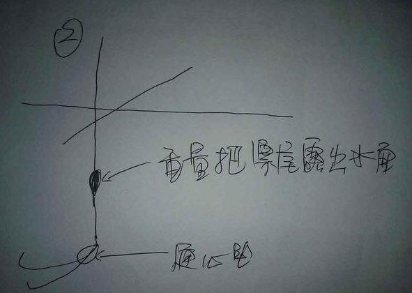 通心粉鼠对温度的要求:什么是单钩通线双铅钓法，该钓法有什么好处？