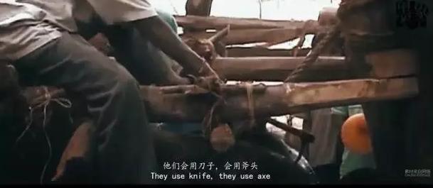 黑象鱼:针对在泰国旅游业继续存在的《黑象》问题，大家怎么看？