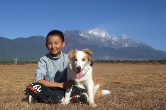 边境牧羊犬性格好吗:家里有小孩可以养边牧吗？