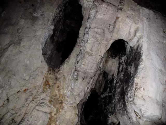 东北飞龙鸟种苗:吉林人不得不爬的15座名山，你爬过几座？