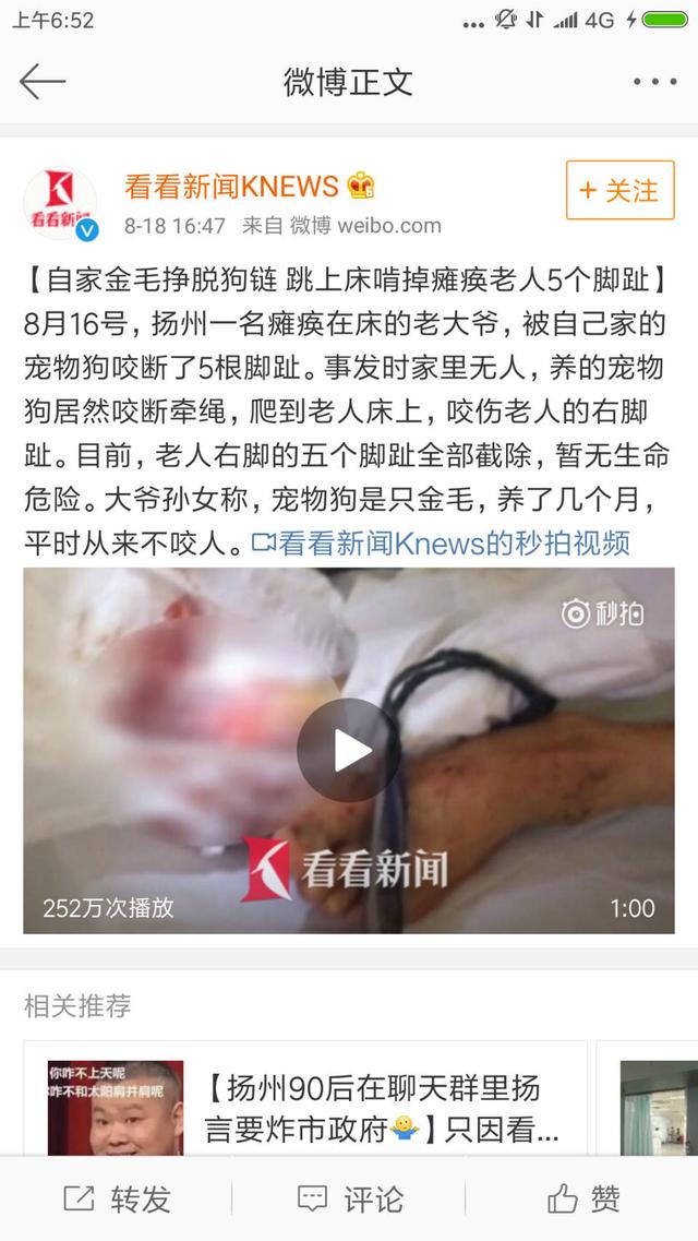 遛狗网红saya微博:杭州网红Saya殴打孕妇，致其先兆流产，对此你怎么看？ 遛狗打孕妇的网红saya