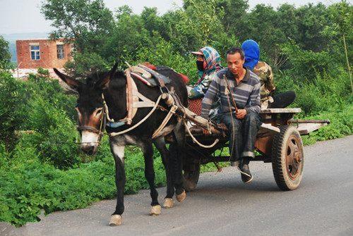头条问答 中国古代四轮马车为何没有普及 三十六说史的回答 0赞