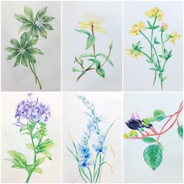 作为一个颜值很高的教师是种怎样的体验？