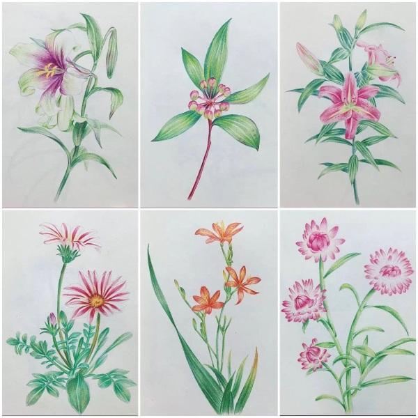 作为一个颜值很高的教师是种怎样的体验？