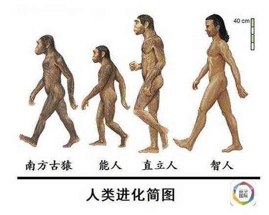 黑猩猩身上的肤蝇蛆:《人类简史》说的是什么？你是如何理解的？
