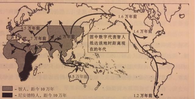 黑猩猩身上的肤蝇蛆:《人类简史》说的是什么？你是如何理解的？