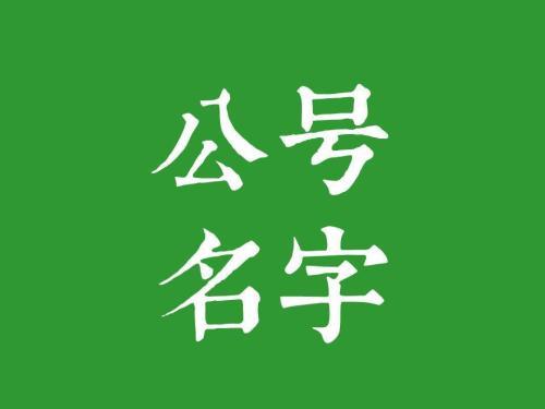 如何运营好一个公众号，新手如何运营微信公众号？