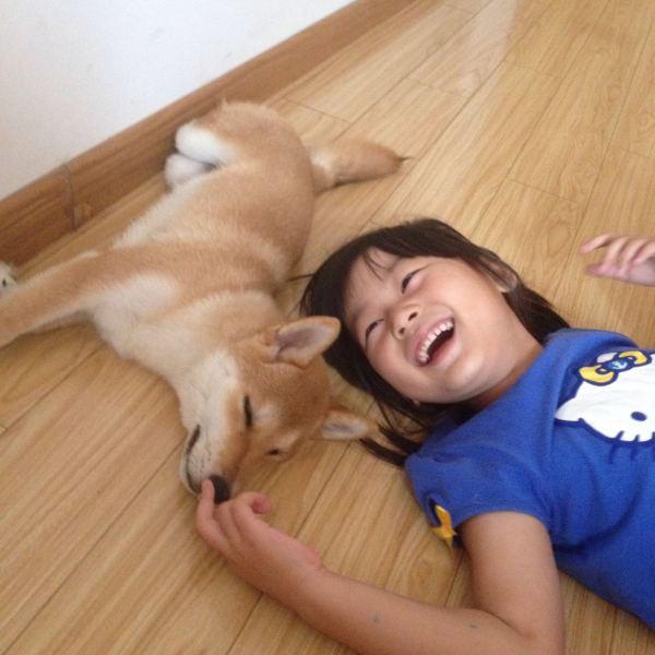 柴犬奇迹物语优酷:有哪部电影或电视曾让你泪流满面？ 柴犬奇迹物语