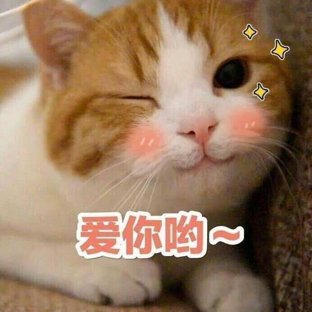 应该怎么跟女朋友聊天找话题,有哪些跟女朋友聊天用的表情包吗?