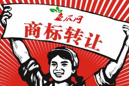 在十象网买商标会不会不安全啊，有没有真实经历分享一下啊？
