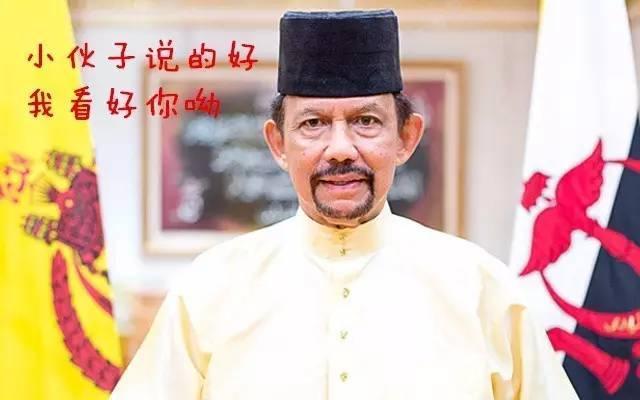 努洛伊曼皇宫:文莱是东南亚最富裕的国家吗