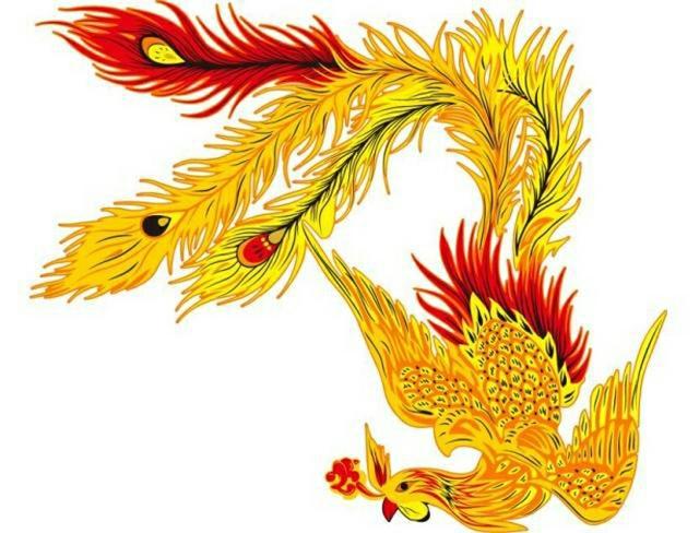 长翅膀的猫咪竟然真实存在:《山海经》中有哪些人、事、物已经被证实是真实的？ 长翅膀的猫咪是真的吗