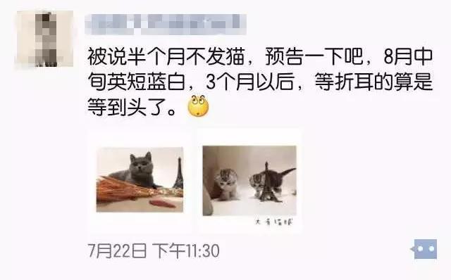 开宠物店赚钱吗:开一家宠物店大概要多少钱 越来越多人养宠物，宠物店是不是很赚钱？