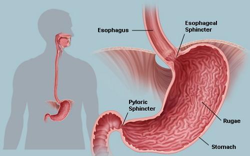 胃癌症状-胃癌症状能活多久