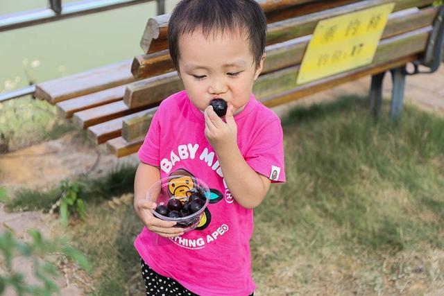 蓝宝石对身体的好处,蓝宝石葡萄为何受大众欢迎？