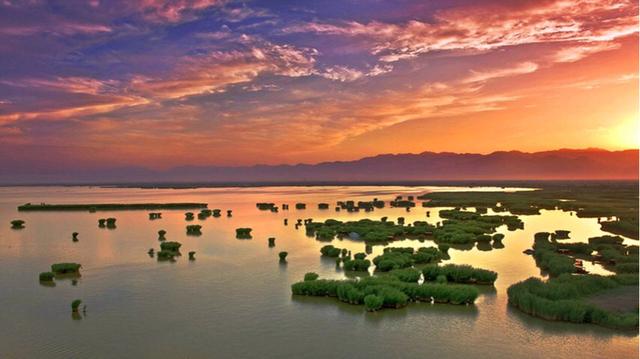 沙湖大鲵图片:宁夏石嘴山有什么好玩的地方？