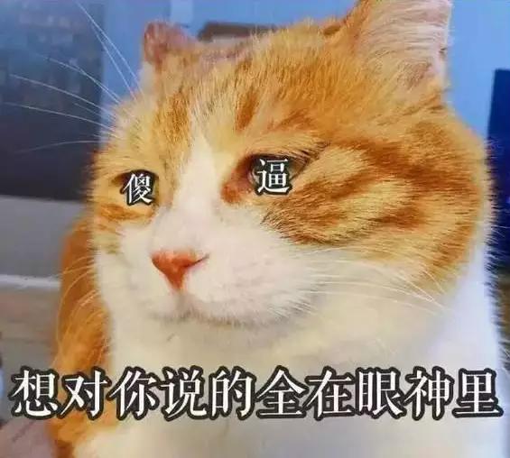 为什么每一部电影和动漫都要豆瓣评分？