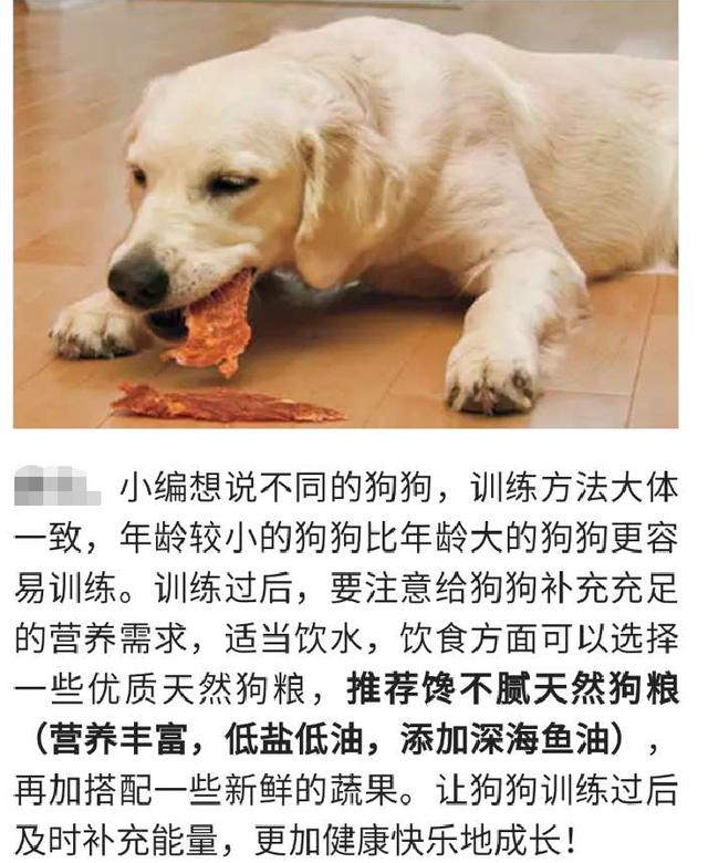小狗在家:如何让狗狗自己乖乖在家？ 小狗在家里随地大小便怎么训练